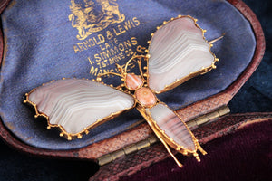 ANTIQUE VICTORIAN c1890 BANDED AGATE BUTTERFLY BROOCH 20ct GOLD