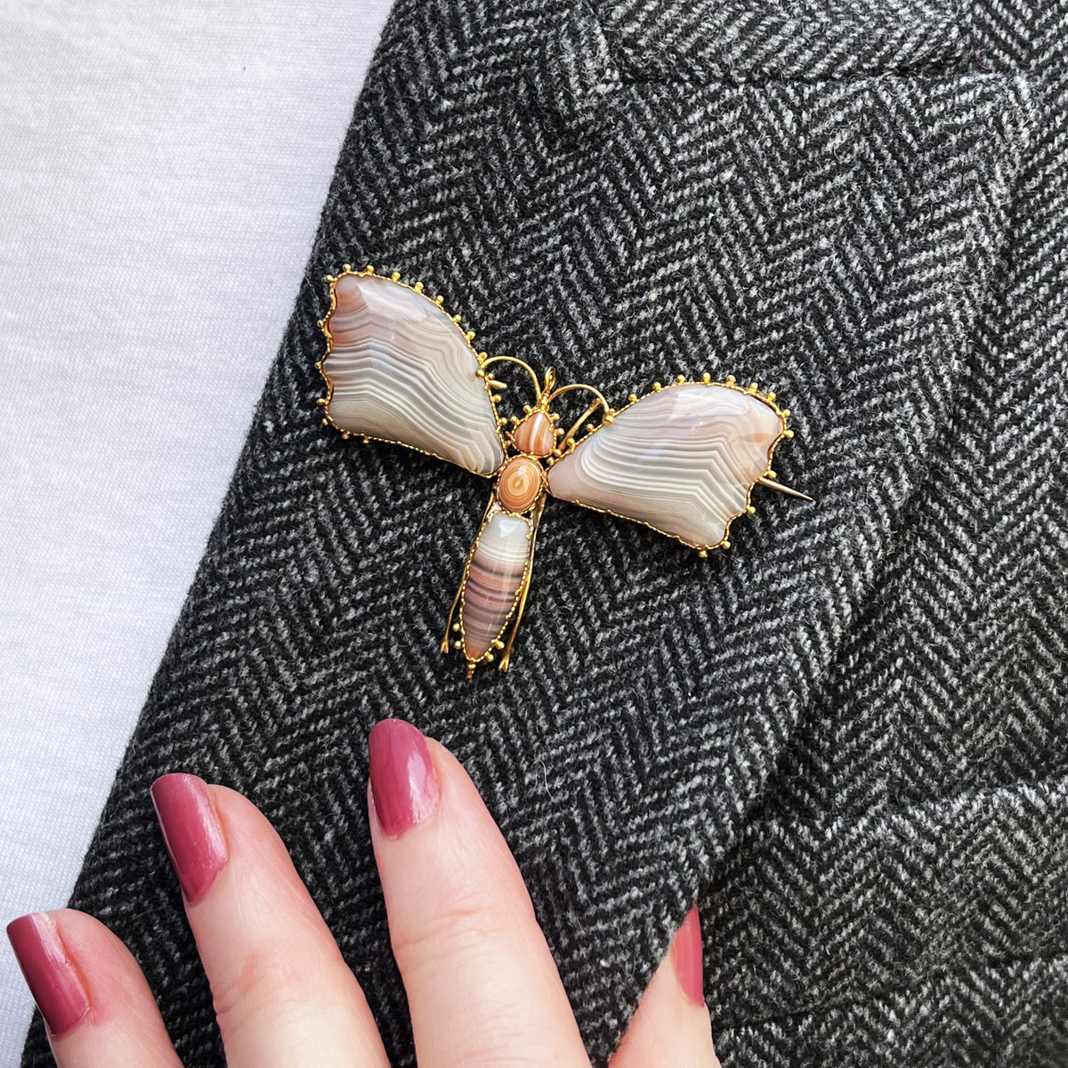 ANTIQUE VICTORIAN c1890 BANDED AGATE BUTTERFLY BROOCH 20ct GOLD