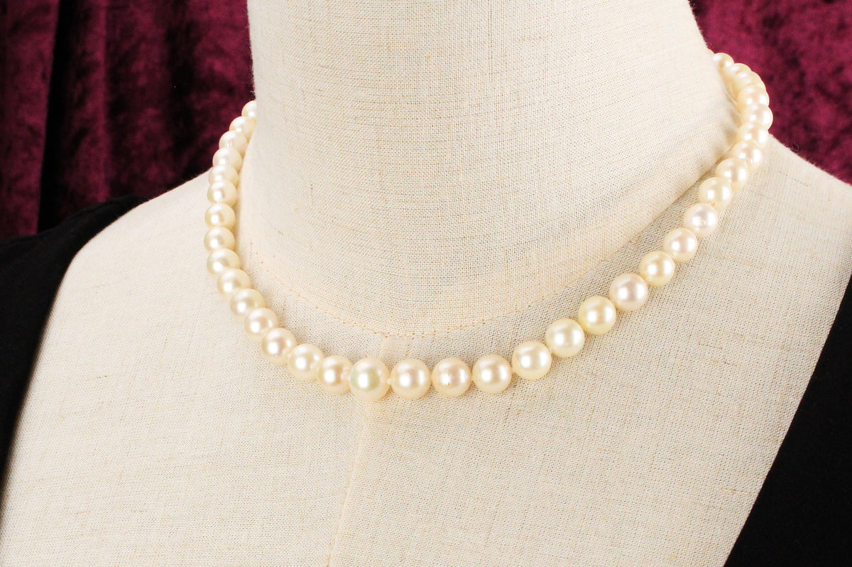 DREAMY SINGLE STRAND PEARLS 14ct GOLD